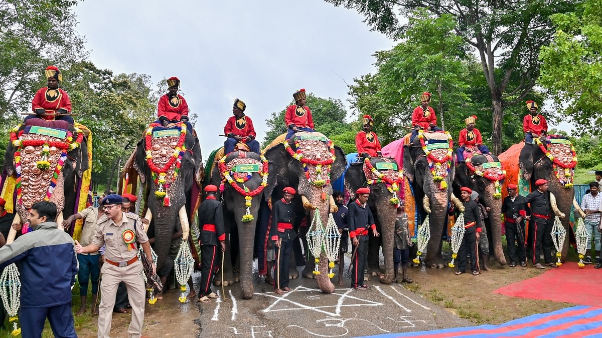 Gajapayana 2022: Dasara elephants kick start their journey