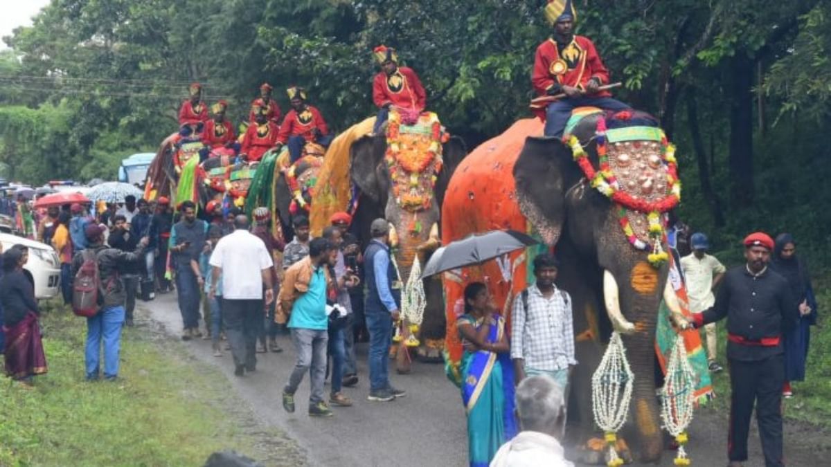 The elephants -- Gopalaswamy, Arjuna, Lakshmi, Dhananjaya, Chaitra, Cauvery, Bhima and Mahendra -- were led by tusker Abhimanyu, which will be carrying the Golden Howdah for the third time. Credit: Special Arrangement