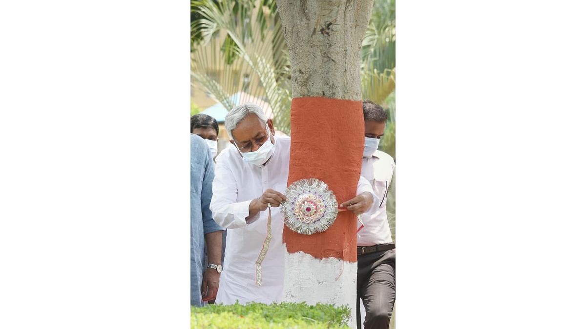 Chief Minister Nitish Kumar tied a rakhi on a tree on Raksha Bandhan to mark ‘Vriksha Suraksha Diwas’ in Patna. Credit: PTI Photo