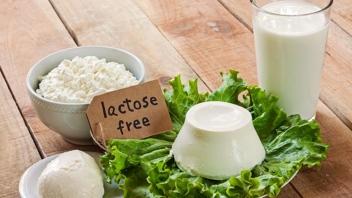Milk reduces the risk of obesity as one cup gives the feeling of being full and satisfies your cravings to eat more. Not many know that inclusion of 2-3 cups of milk to your daily diet can help you not just prevent obesity but actually control your weight. Credit: Getty Images