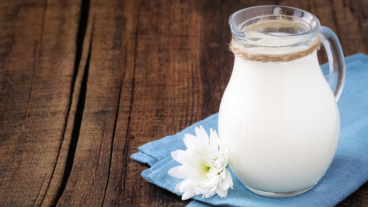 Milk acts as a best post-workout drink and has demonstrated that a cup of milk after a workout can decrease muscle damage, promote muscle repair, increase strength and even decrease muscle soreness. Credit: Getty Images