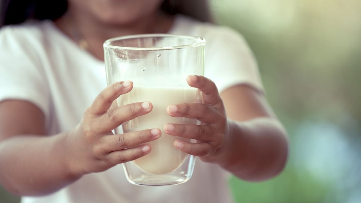 Milk also acts a disease fighter as it helps in preventing many life-threating diseases. Some reports suggest that milk helps in controlling high blood pressure and reduces the risk of heath attack. Apart from preventing certain forms of cancer, it also has the ability to reduce the production of cholesterol by your liver and helps improve eyesight. Credit: Getty Images