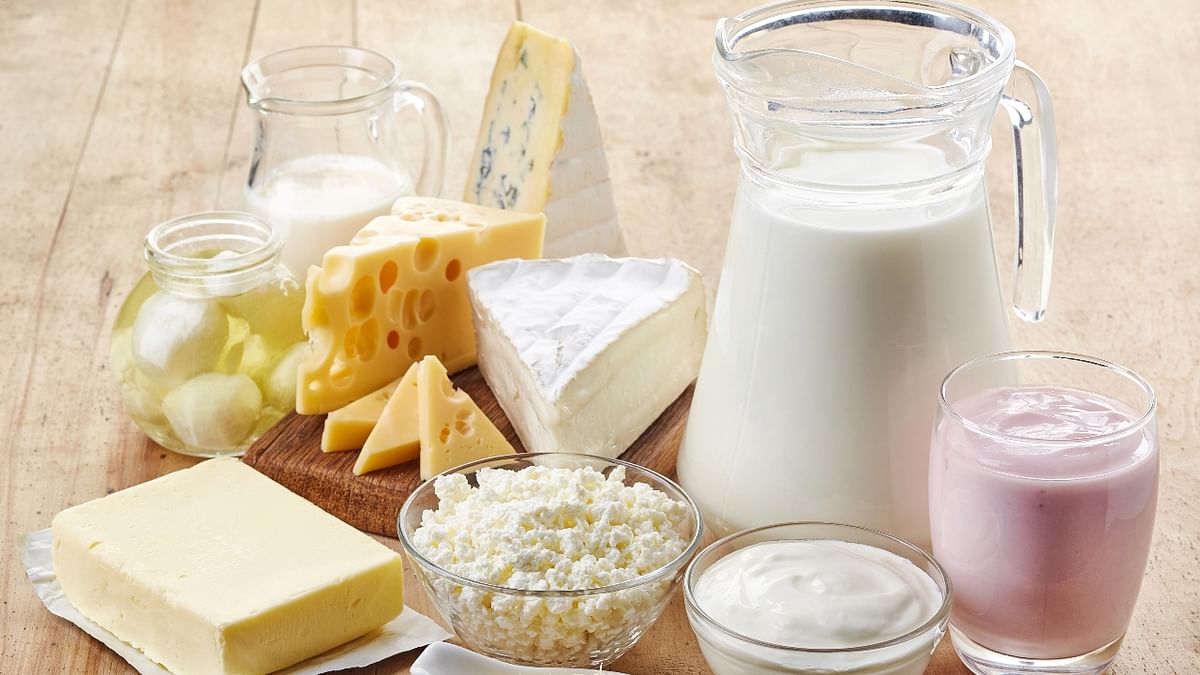 One can create huge variety of food products from milk, such as yoghurt, cream, butter, ghee and paneer. These dairy products are a major part of the modern diet. Credit: Getty Images