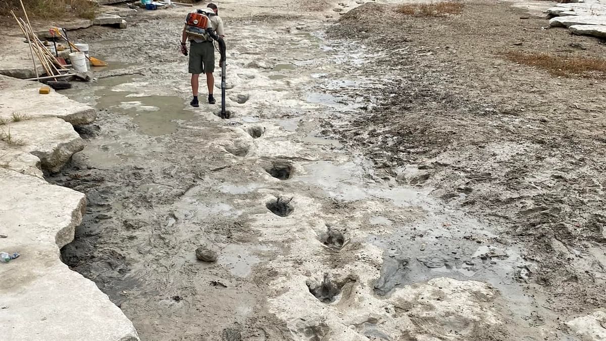 Dinosaur tracks from around 113 million years ago, discovered in the Texas State Park after severe drought conditions dried up a river. Credit: AFP Photo