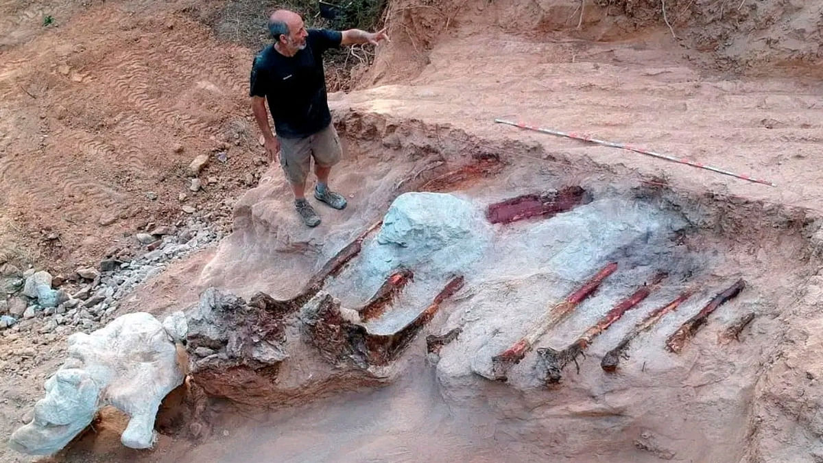 A view during excavation works of a partial skeleton of a sauropod dinosaur at the Monte Agudo fossil site, in Pombal, Portugal in this handout taken August 2022. Credit: Reuters via Instituto Dom Luiz (Faculty of Sciences of the University of Lisbon)