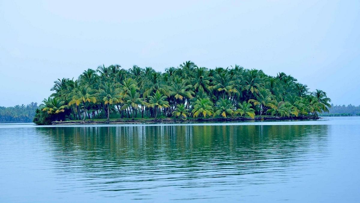 Kavvayi Island: Backwaters of Kerala are a must visit! Explore the hidden gem, Kavvayi Island close to Kannur. This picturesque destination ranks among the best islands in the state owing to its captivating beauty. Credit: Special Arrangement
