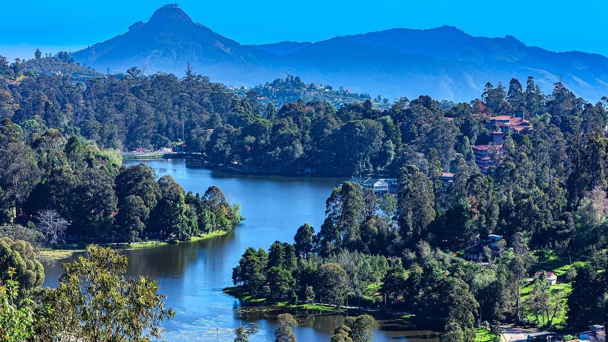 Road trip to Munnar & Kodaikanal: It is a good idea to take a trip to Munnar or Kodaikanal and witness the beauty of nature. These cities are easily accessible via state and federal roadways. Credit: Getty Images