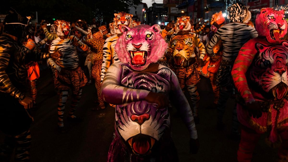 Tiger dance, also known as Pulikali is a common sight during the Onam season. Dancers and performers paint themselves as tigers and groove to the beats of traditional instruments like Chenda. Credit: AFP Photo