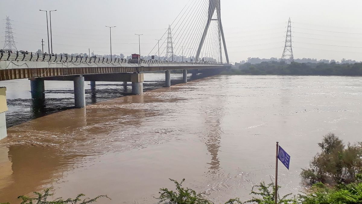 Last year, the Yamuna river breached the danger mark on July 30 and the water level at the Old Railway Bridge rose to 205.59 metres. Credit: PTI Photo