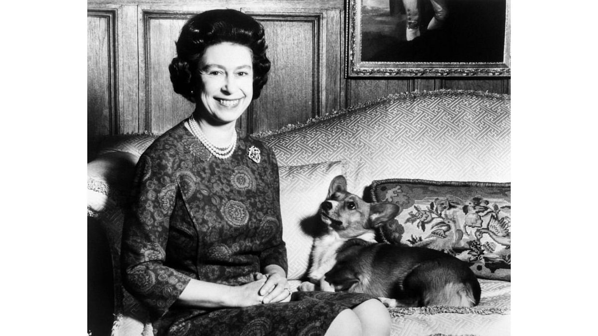 Queen once decided to not have any more dogs: The Queen was widely known for her love for dogs, specifically Corgis and Dorgis and has owned over 30 dogs in her lifetime. The audiobook also mentions,