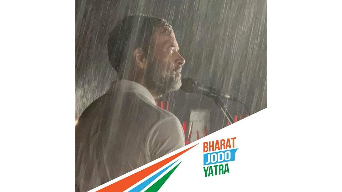 Pictures and videos of Rahul Gandhi addressing the Mysuru rally in heavy rains have gone viral. Credit: INC