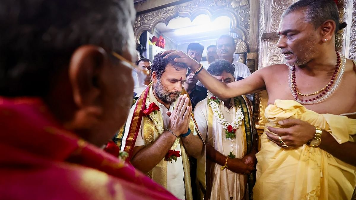 Congress leader Rahul Gandhi offered prayers at the Chamundeshwari Temple amid the party's 'Bharat Jodo Yatra' in Mysuru. Credit: AICC