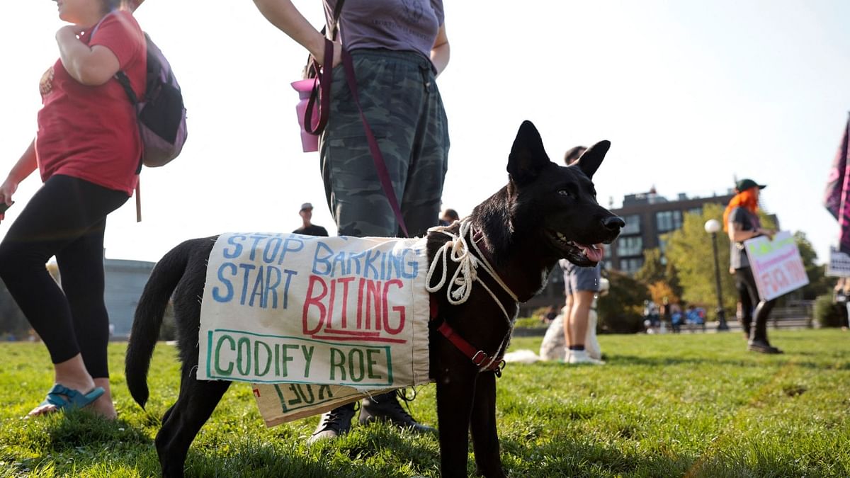 A dog wears an abortion rights sign as people gather in Cal Anderson Park during the