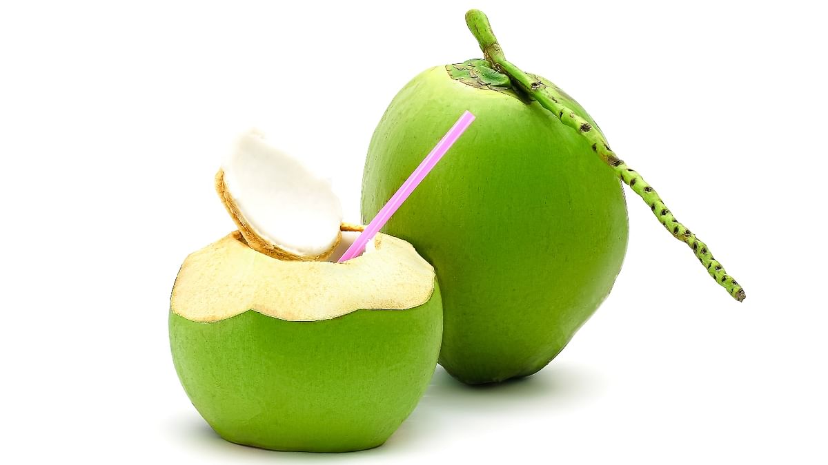 Coconut Water | Coconut water is a detox for this day, as it will not only keep you hydrated on a 'nirjala' fast but shall also keep your electrolytes balance in check. Drinking coconut water will help in boosting digestion and shall help you go on with the day without any weakness. Credit: Getty Images