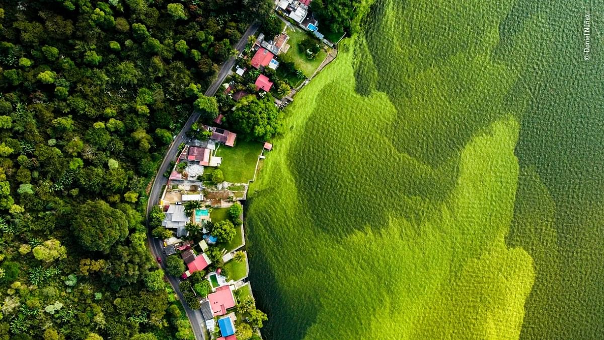 Wetlands - The Bigger Picture Winner - 'The dying lake' by Daniel Nunez, Guetamala. Credit: Daniel Nunez/Wildlife Photographer of the Year