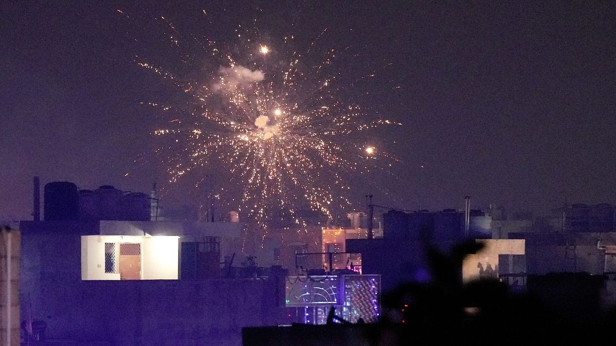 Despite the legal deterrent in place, people in Delhi burnt crackers on Diwali evening. Credit: PTI Photo