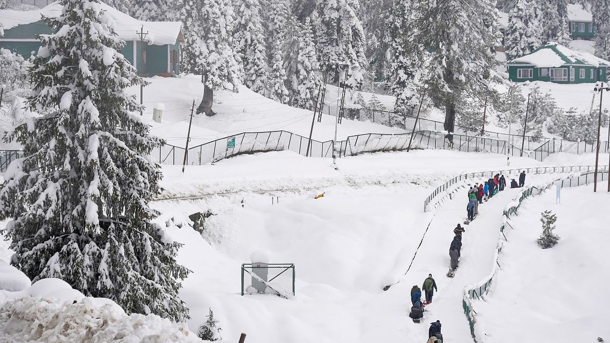 Theog | This unexplored snow land is located in Himachal Pradesh and is just a couple of hours' drive from Shimla. This place is heaven for those who love trekking. It has started attracting even Bollywood celebrities. Credit: PTI Photo