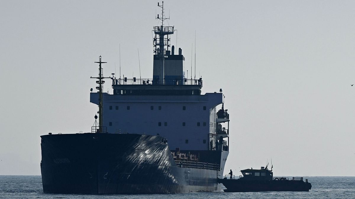 A photograph taken on October 31, 2022 shows a cargo ship loaded with grain being inspected in the anchorage area of the southern entrance to the Bosphorus in Istanbul. Credit: AFP Photo