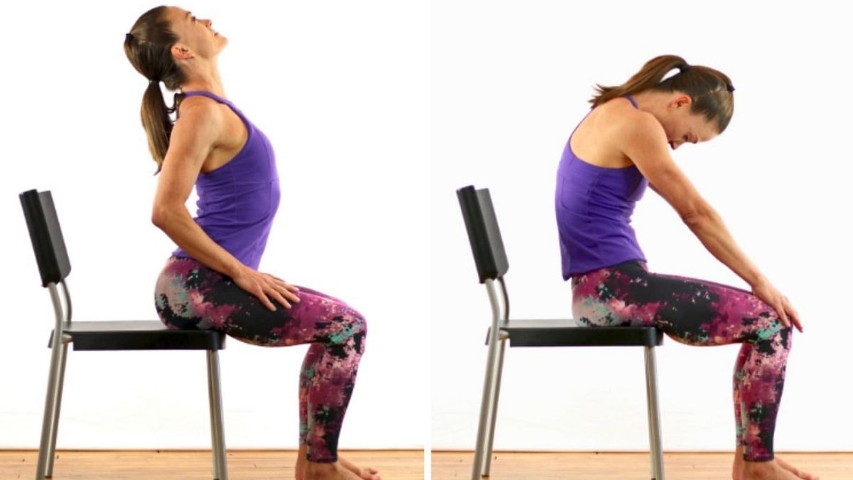 Seated Cat Cow| This position can help with back aches and neck pains. As the pose helps in relieve some of the stiffness in the back and shoulders. Credit: www.blog.paleohacks.com