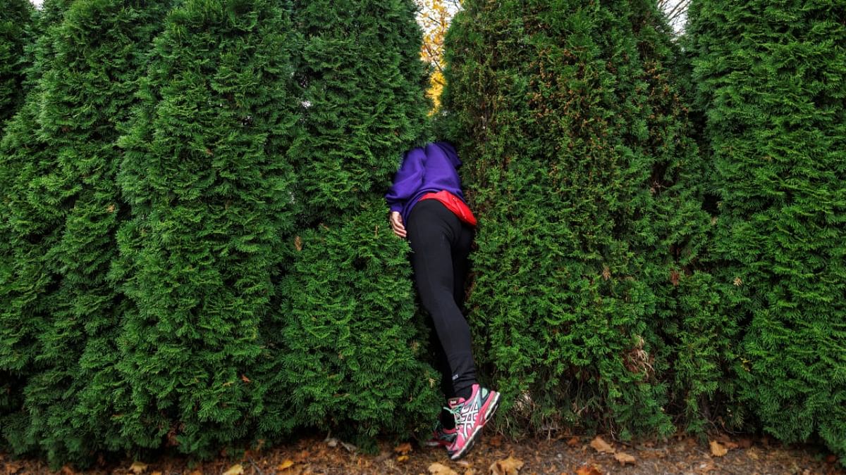 An abortion clinic escort checks on anti-abortion demonstrators through the privacy hedge at Northland Family Planning in Westland, Michigan. Credit: Reuters photo