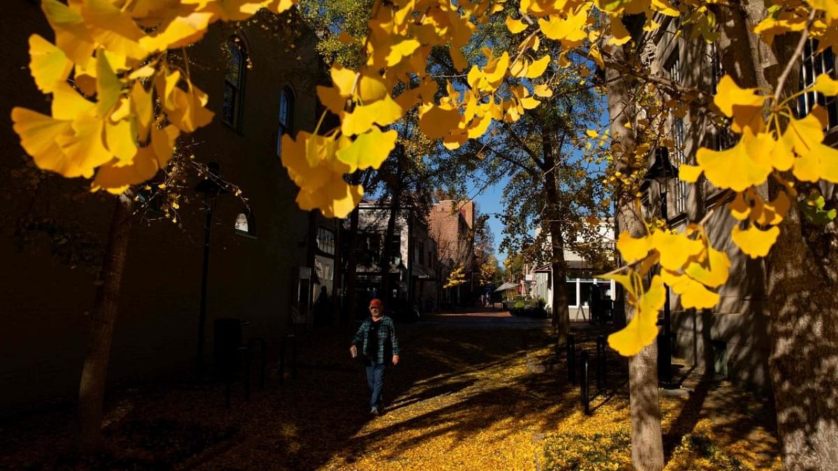 A pedestrian walks past fall foliage along the downtown mall in Charlottesville, Virginia. Credit: AFP Photo