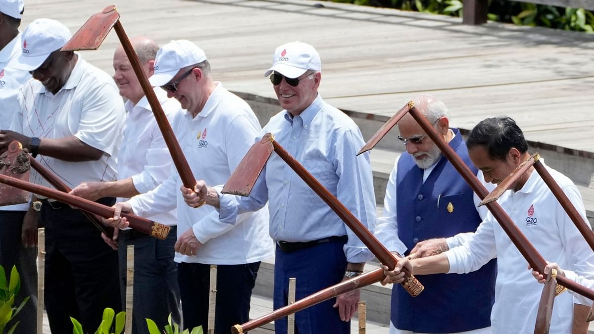 Prime Minister Narendra Modi with South African President Cyril Ramaphosa, German Chancellor Olaf Scholz, Australian Prime Minister Anthony Albanese, US President Joe Biden and Indonesian President Joko Widodo during a mangrove planting event on the sidelines of the G20 summit meeting in Nusa Dua, Bali. Credit: AFP Photo