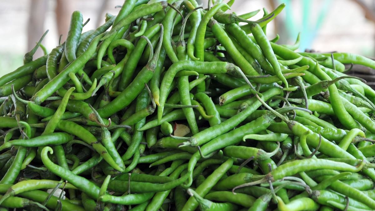 Green Chillies: Green Chillies are rich in Capsaicin and can boost body temperature. The burst of heat can supply enough energy to keep going for about an hour. However, consume these with care as they can burn the tongue easily. Credit: DH Photo/Anup R Thippeswamy