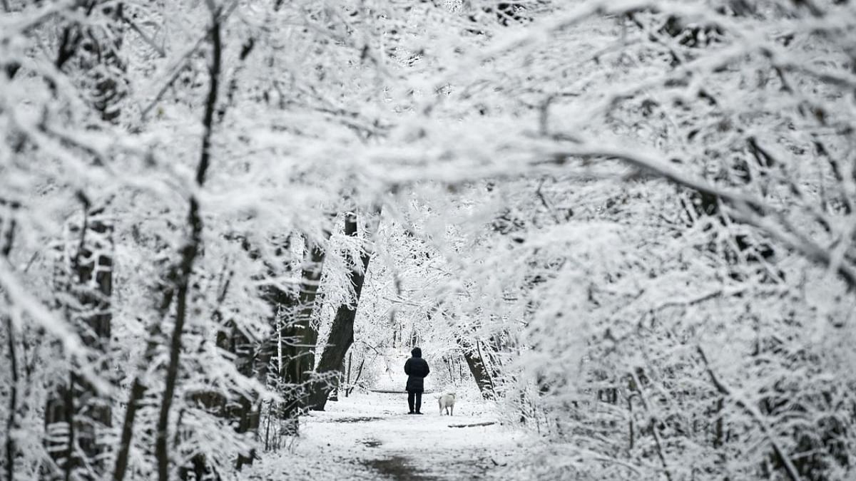 A man strolls his dog following a snowfall in an empty park in Sofia. Credit: AFP Photo