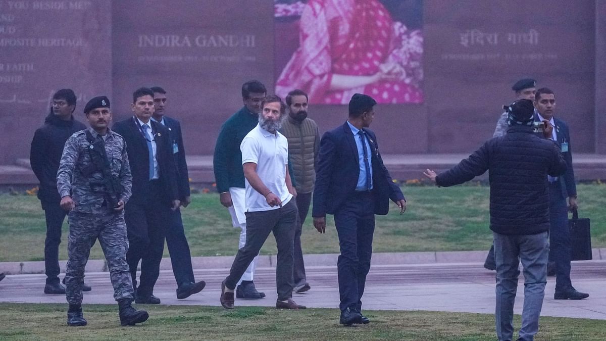 Rahul Gandhi seen walking in a half sleeves t-shirt and trousers. Credit: PTI Photo