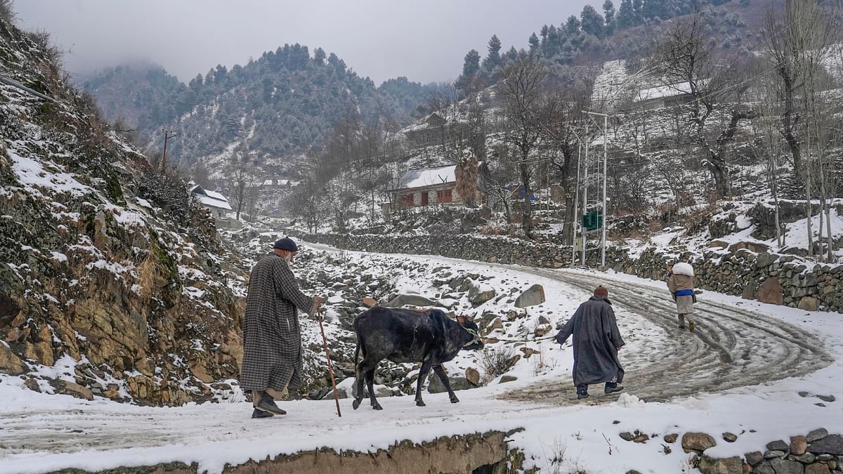 The snowfall broke the dry spell in Kashmir, which is currently under the grip of 'Chilla-i-Kalan' -– the 40-day harshest weather period when the chances of snowfall are maximum and most frequent. Credit: PTI Photo