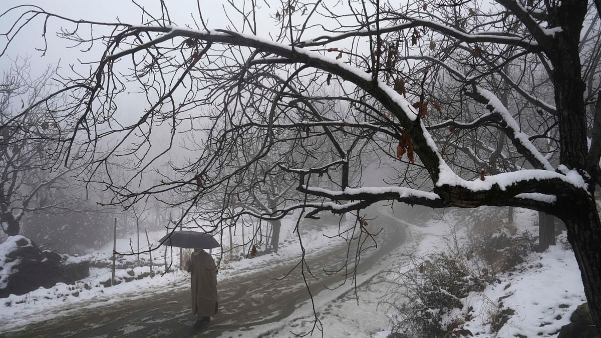 The snow covered Srinagar in white blanket, bringing freezing temperatures. Credit: PTI Photo