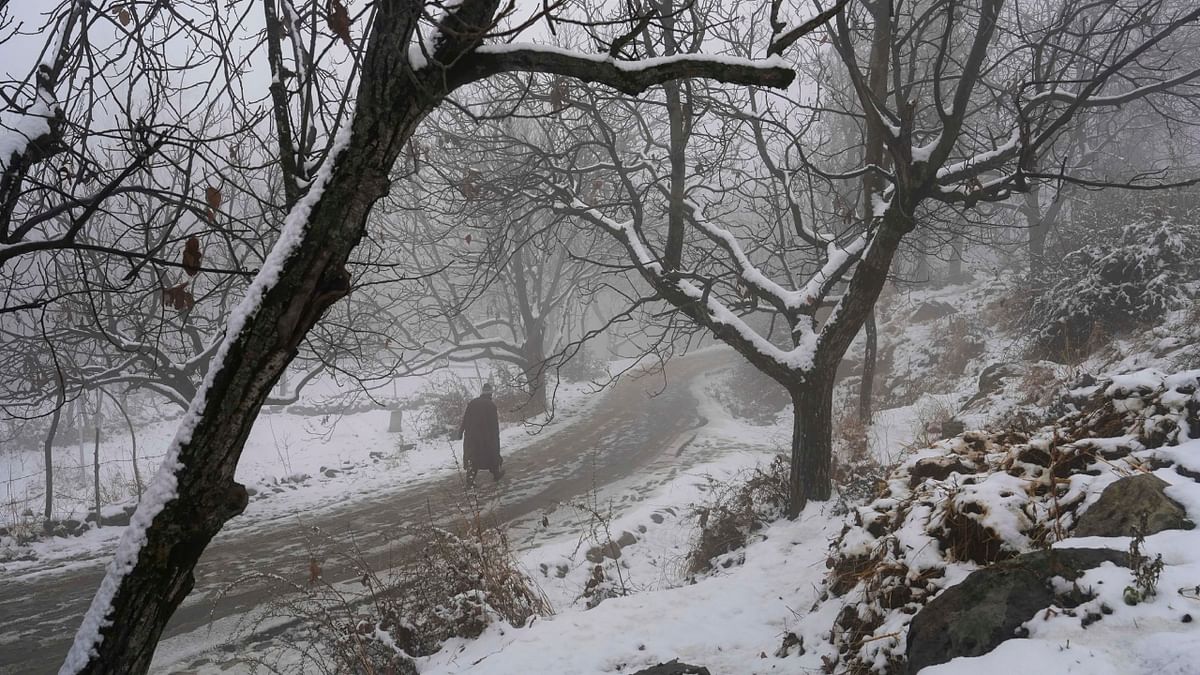 The place has become a real winter wonderland after the snowfall, and even the flight operations at the Srinagar airport were affected. Credit: PTI Photo