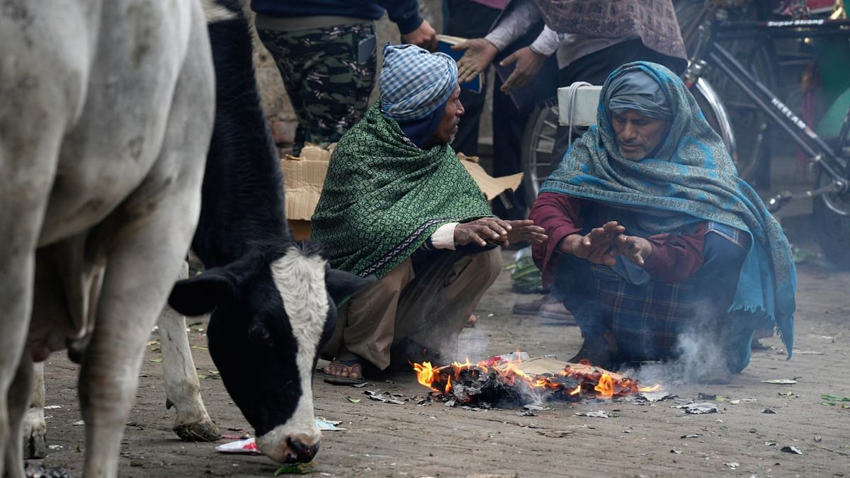 Delhi's minimum temperature was lower than Dalhousie (4.9 degrees Celsius), Dharamshala (5.2 degrees Celsius), Kangra (3.2  degrees Celsius), Shimla (3.7 degrees Celsius), Dehradun (4.6 degrees Celsius), Mussoorie (4.4 degrees Celsius) and Nainital (6.2 degrees Celsius). Credit: PTI Photo