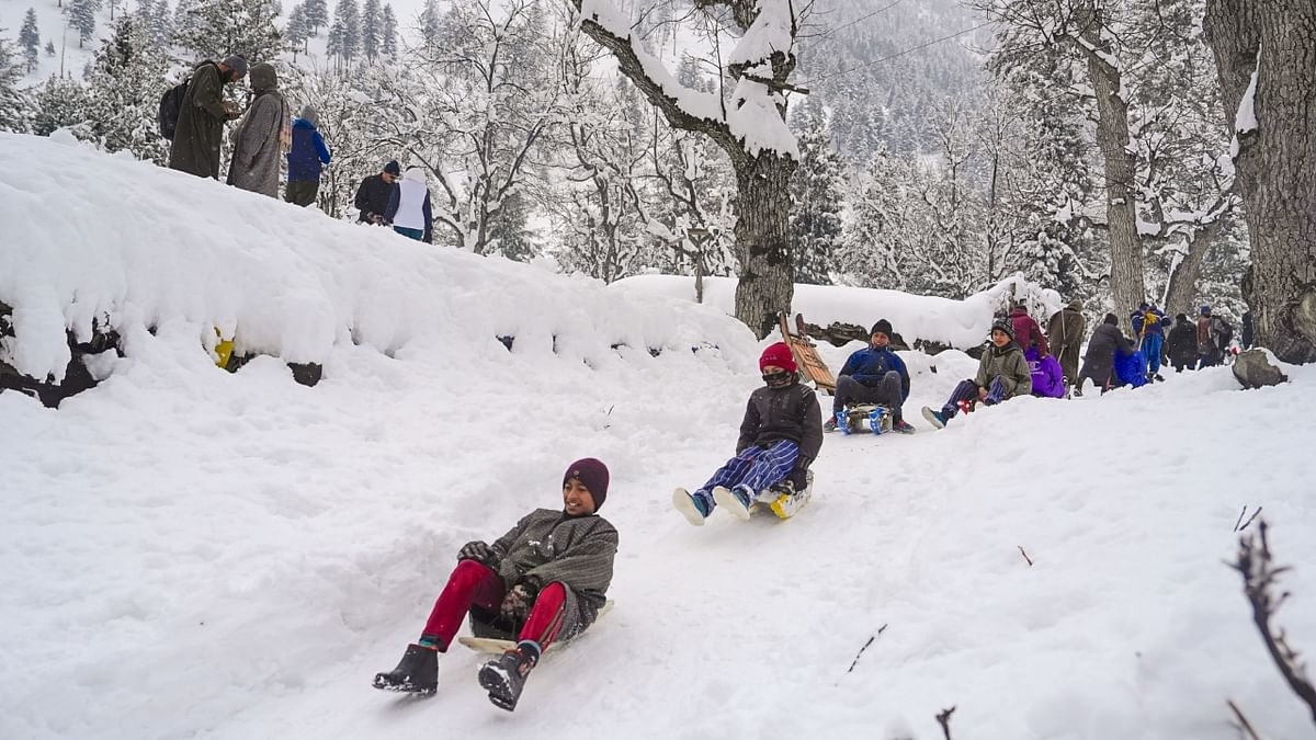 Tourists were seen enjoying the snowfall and activities like skiing, snow fight and sledging. Credit: PTI Photo