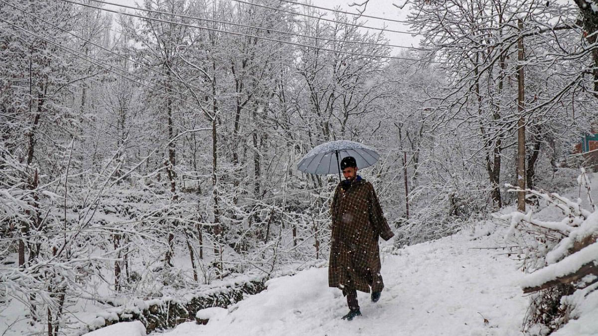 A man walks during a snowfall along a path on the outskirts of Srinagar. Credit: AFP Photo