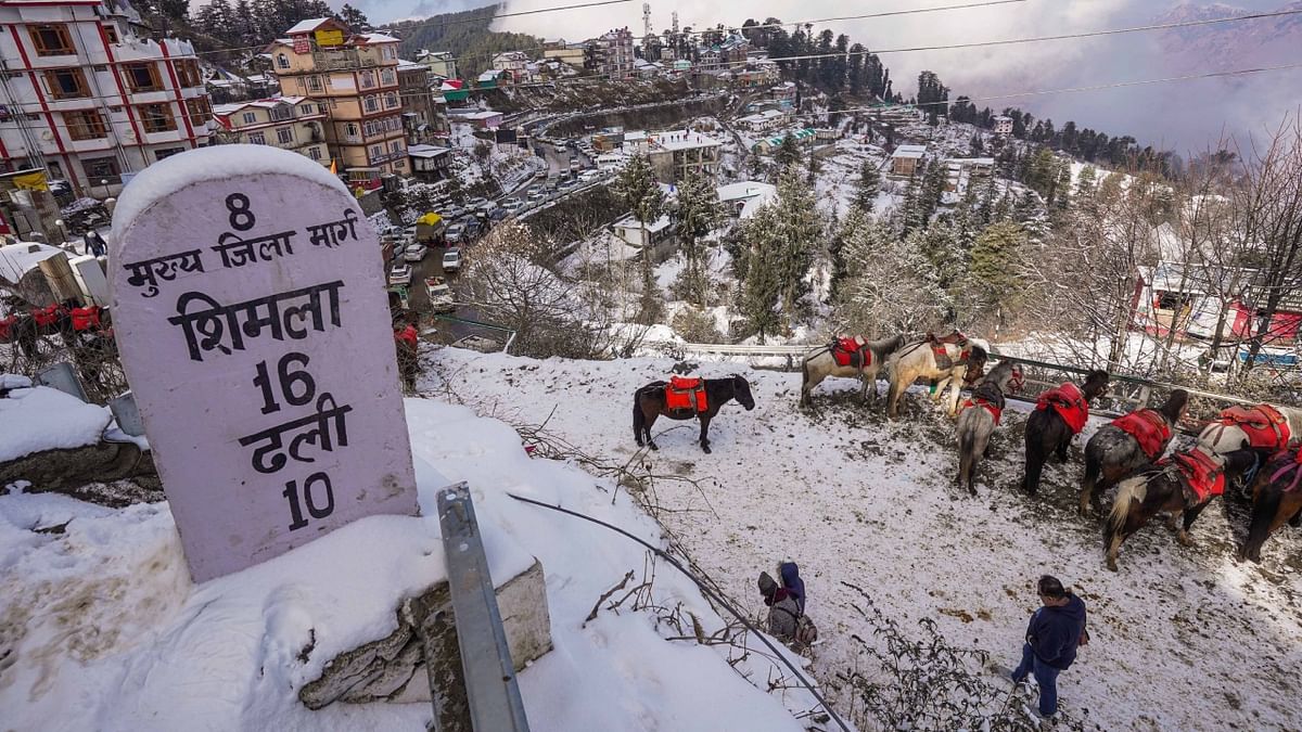 A fresh lot of tourists have started thronging the peaks of Shimla after a light snowfall in the area. Credit: PTI Photo