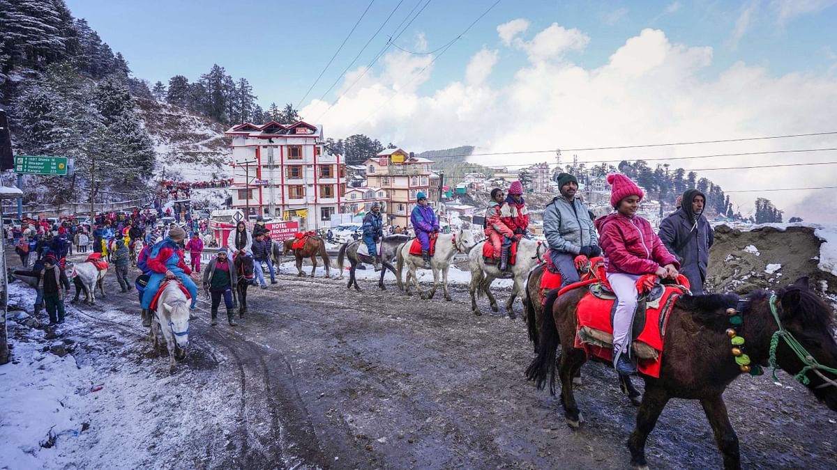 However, the excitement of the tourists was short-lived since the snow was soon followed by rain and sleet. Credit: PTI Photo