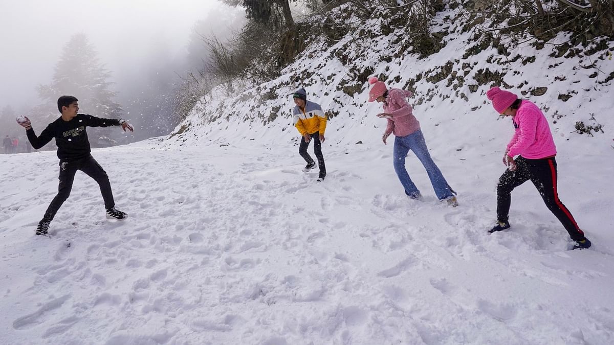 Meanwhile, the local Meteorological station has predicted light rain and snow in isolated areas in mid and higher hills on January 14 and rains in low hills and dry weather in the region from January 14 to January 18. It has also cautioned of dense fog and cold wave in low hills from January 14 to 17. Credit: PTI Photo