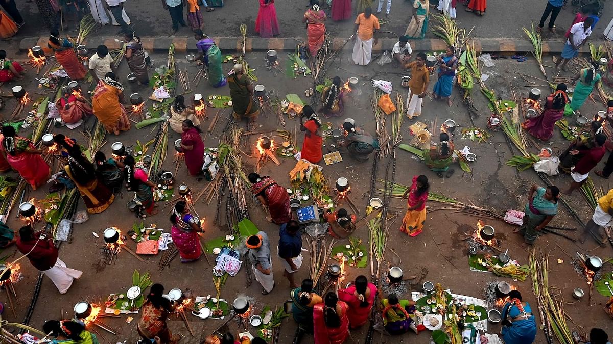Hindu women cook rice dish along a street during a ceremony at the Dharavi slum to celebrate Hindu harvest festival of Pongal, in Mumbai. Credit: AFP Photo