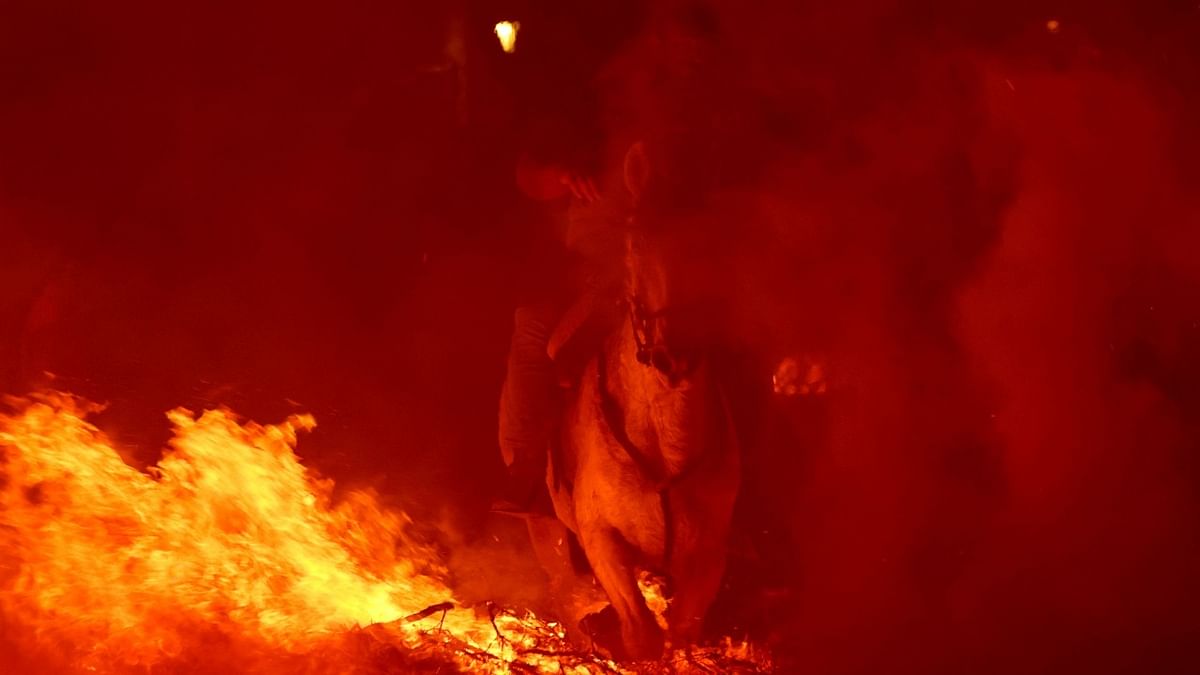 - A horseman rides through a bonfire during the traditional festival of