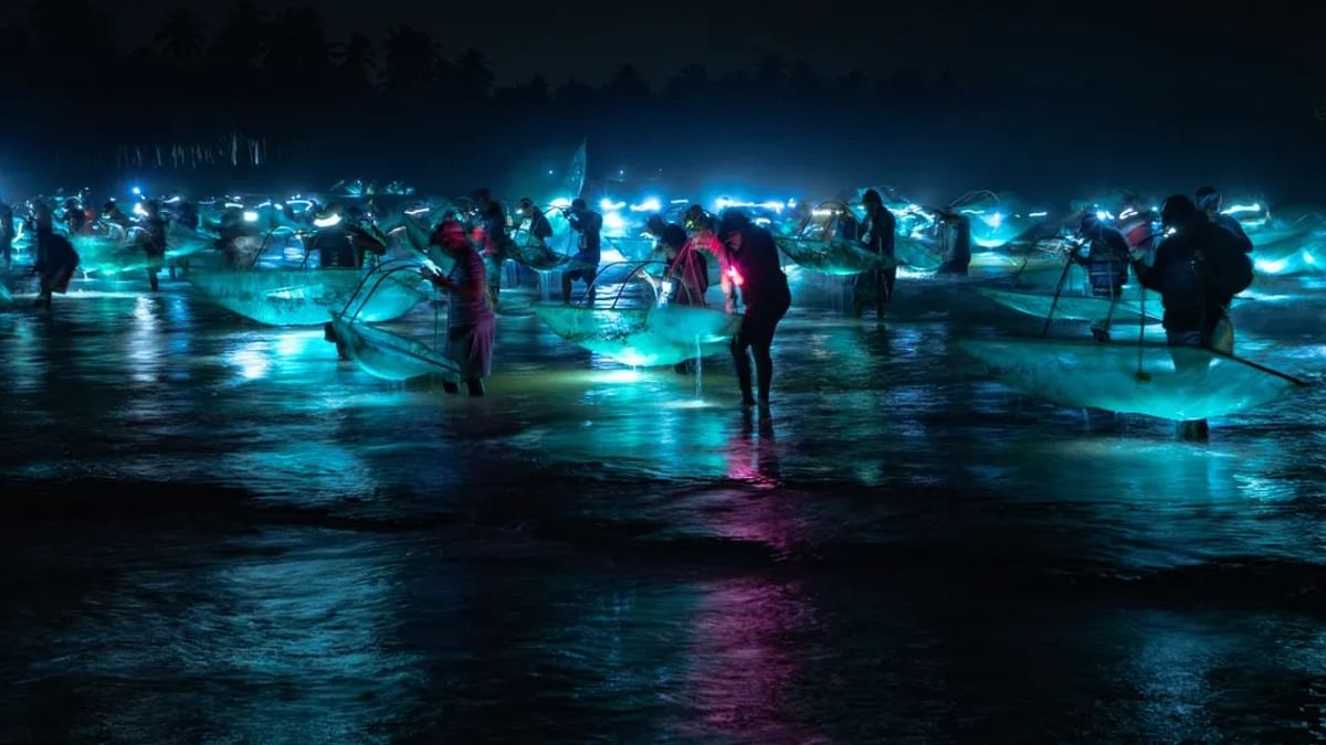 Fishing for glass eels on the coast of the Dominican Republic. Credit: Eladio Fernandez/Wildlife Photographer of the Year