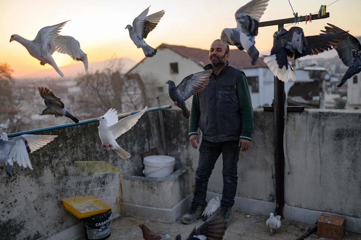 Murat Guzel scatters bird food on the roof of a restaurant where he worked before the earthquake, in Antakya south of Hatay. credit: AFP Photo