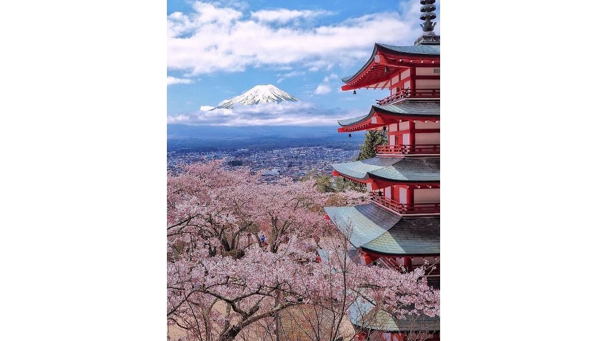 Japan has ranked among the top 10 safest countries on the Global Peace Index for 14 years for now as it consistently receives high scores for low crime rates, minimal internal conflict, and virtually non-existent political unrest, according to World Population Review. The island country is the 10th safest country in the world according to the Global Peace Index. Credit: Instagram/@japan.explores