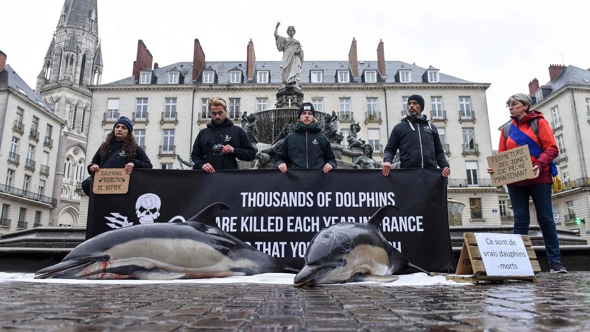 Members of marine conservation organisation Sea Shepherd Conservation Society (SSCS) hold a banner reading