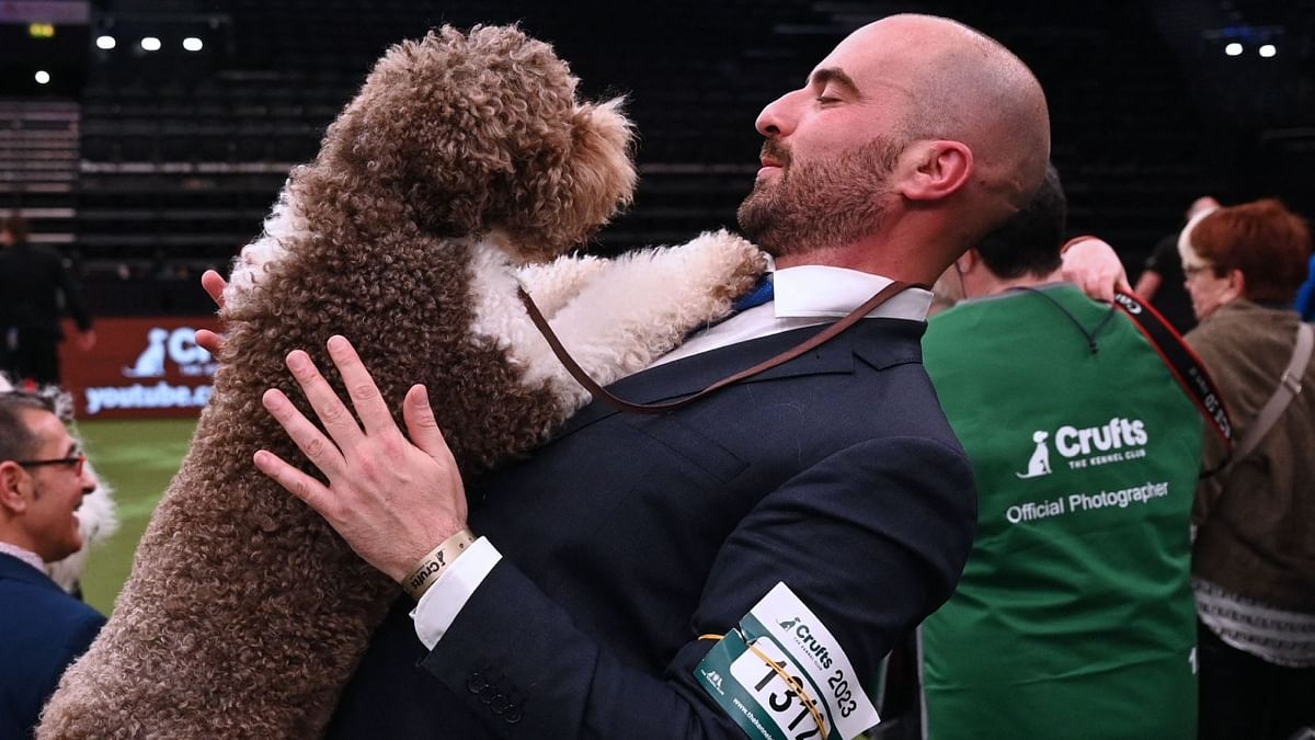 Winner of Best in Show, the Lagotto Romagnolo,