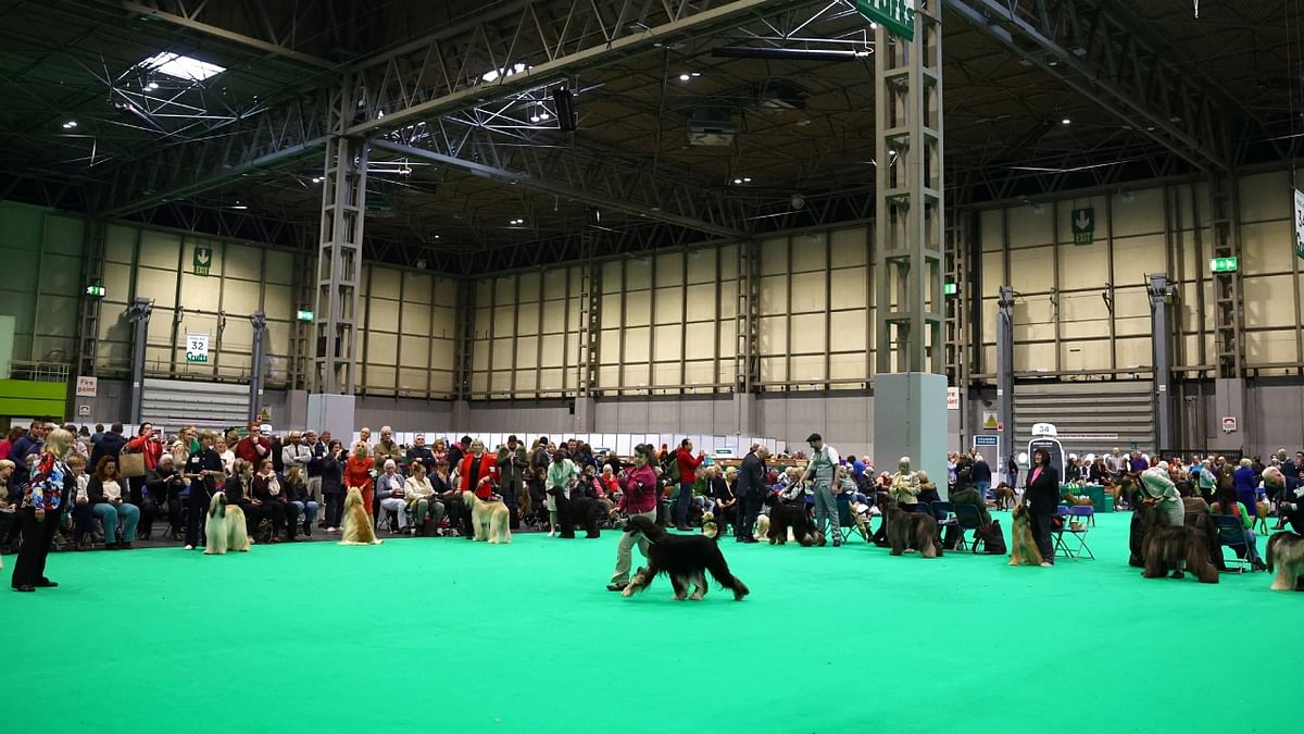 Tens of thousands of dogs and their owners flocked to the Tens of thousands of dogs and their owners flocked to the world's biggest dog show, as Crufts made a comeback after a two-year hiatus. Credit: Reuters Photoworld's biggest dog show, as Crufts made a comeback after a two-year absence. Credit: Reuters Photo