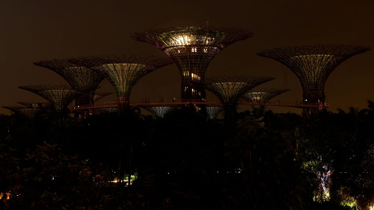 The Supertree Grove structures at Gardens by the Bay after lights are switched off to mark the Earth Hour, in Singapore. Credit: Reuters Photo