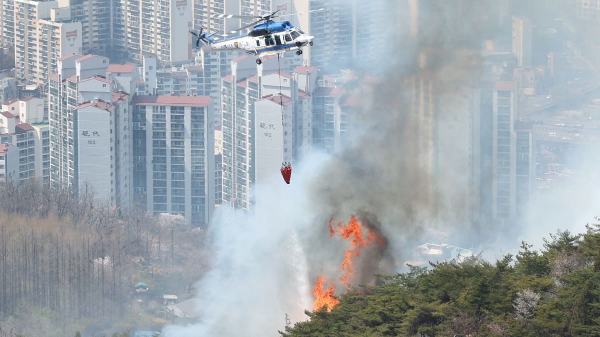 No casualties were reported in the fire, which was about 23 hectares (57 acres), roughly 20% of the mountain’s total area. Credit: Reuters Photo