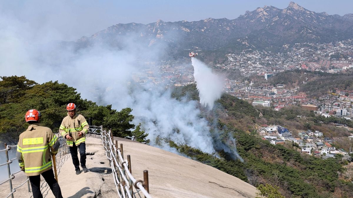 It was designated a Level 2 in the country’s three-level fire alert system, and authorities deployed at least 500 people and nine helicopters, which dropped water onto the steep, wooded terrain. Credit: AFP Photo