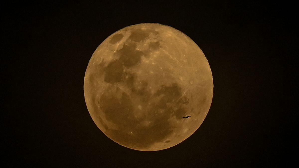 A bird flying before the full moon in Banda Aceh, Indonesia. Credit: AFP Photo